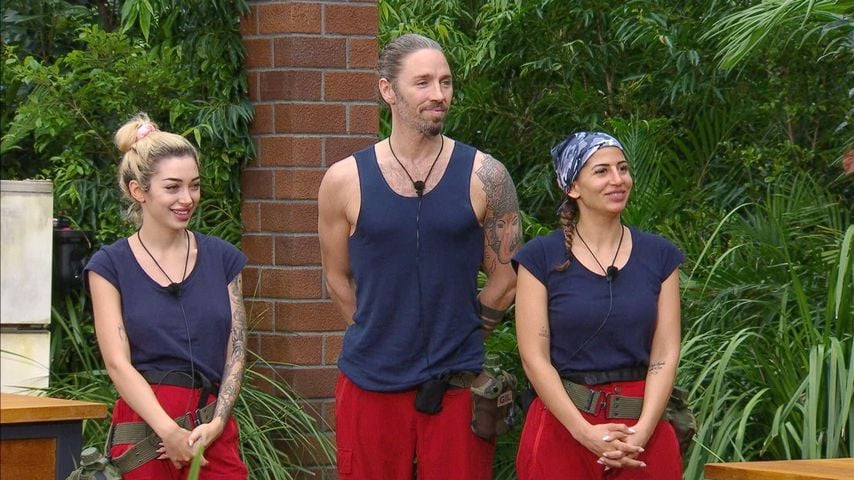 Streithähne in der Dschungelprüfung: Gibt es heute Sterne?