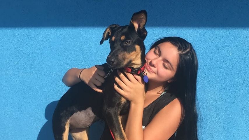 Ariel Winter und ihre Hundin Chloe