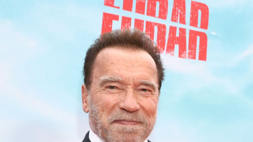 Ignorieren Arnold Schwarzeneggers Kinder unehelichen Sohn?