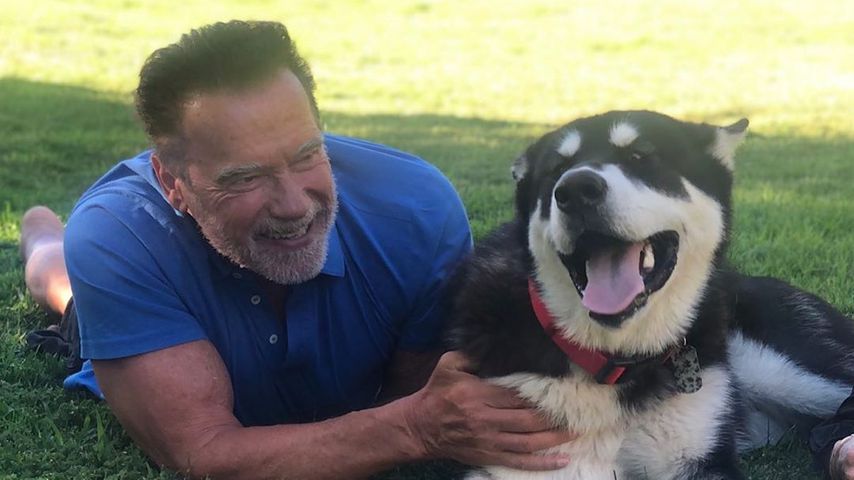 Arnold Schwarzenegger freut sich über tierischen Zuwachs