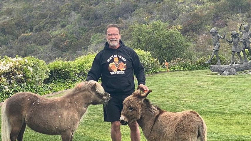 Arnold Schwarzenegger im April 2020