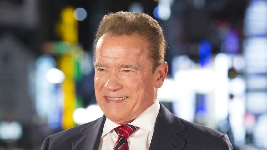 Arnold Schwarzenegger im November 2019