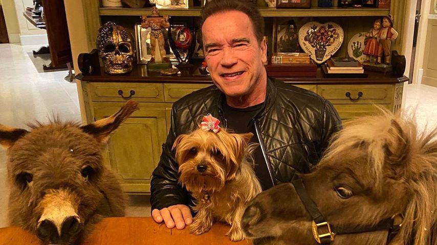 Arnold Schwarzenegger mit seinen Tieren