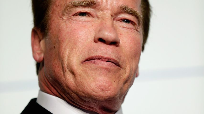 Goldene Kamera: Arnold Schwarzenegger wird geehrt