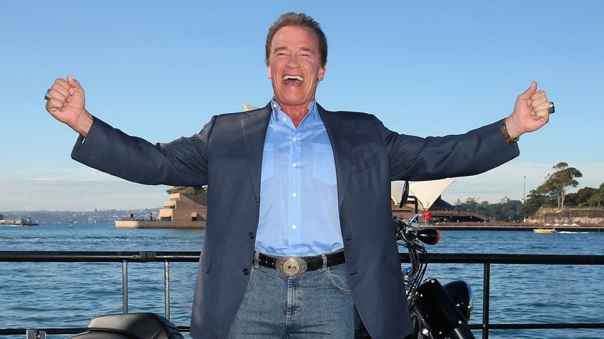 Arnold Schwarzenegger im Jahr 2015