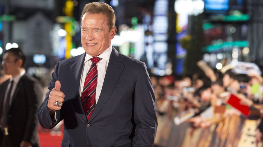 Arnold Schwarzenegger im November 2019
