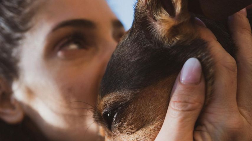 Ashley Greene und ihr Hund