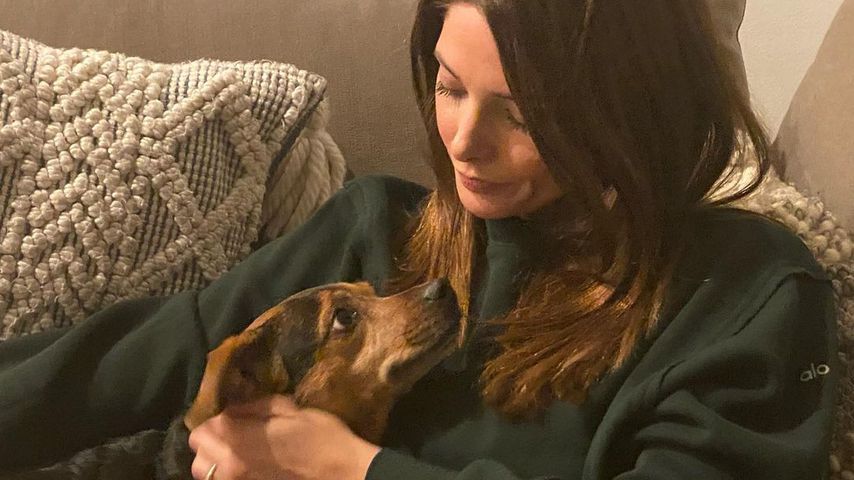"Twilight"-Star Ashley Greene trauert um verstorbenen Hund
