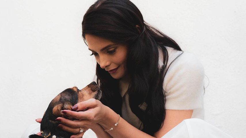 Ashley Greene und ihr Hund