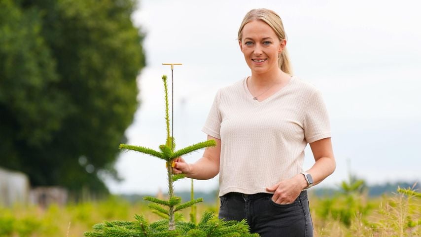 Weihnachtsbaumerzeugerin Saskia, Kandidatin bei "Bauer sucht Frau 2024"