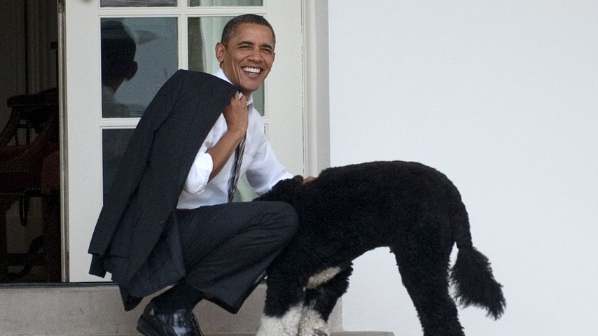 Barack Obama und Hund Bo vor dem Weißen Haus, 2012