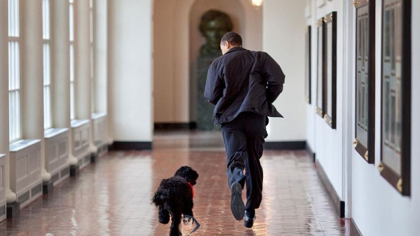 Barack Obama mit seinem Hund Bo