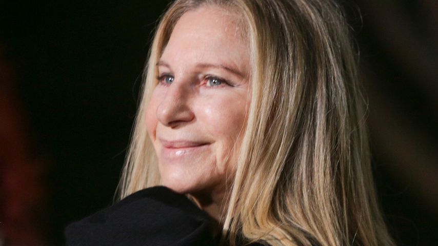 Schauspielerin Barbra Streisand investierte in Viagra-Aktien