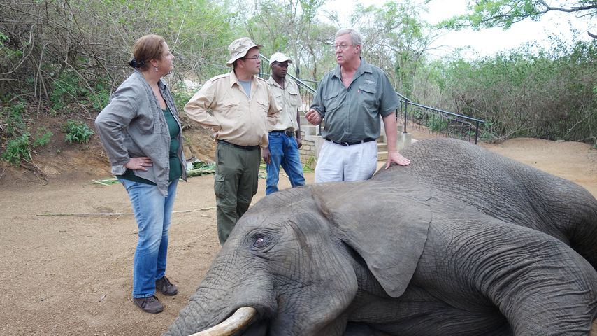 Bauer Willi und Karola in Afrika