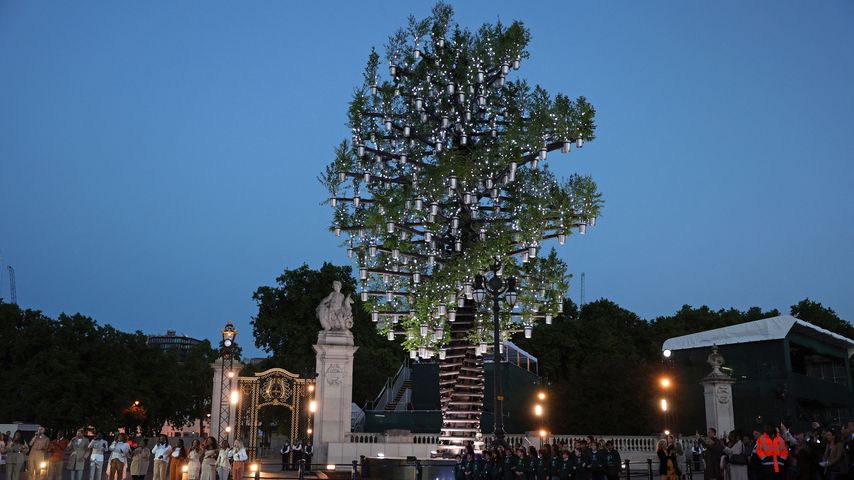 Baum zu Ehren der Queen vor dem Buckingham Palace während des 70. Thronjubiläums