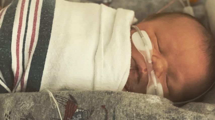 Bear Browns Sohn Cove Gabriel Caden Brown