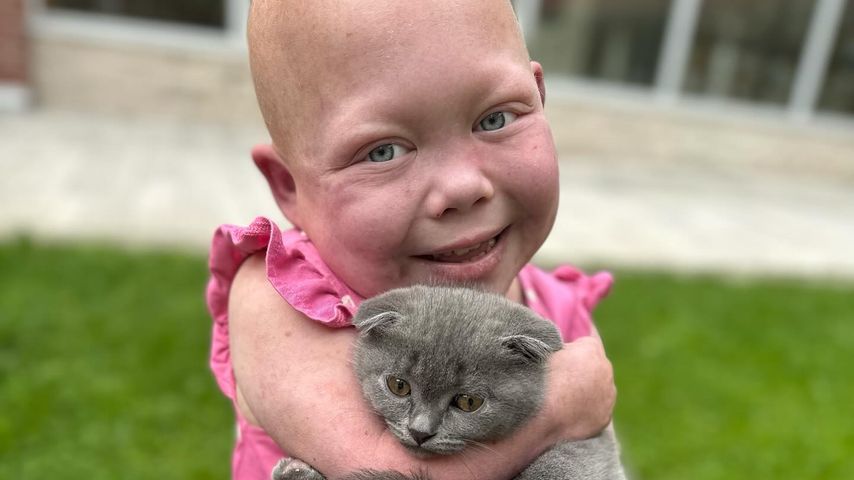 Bella Brave, Webstar