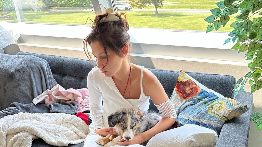 Bella Hadid mit ihrem Hund