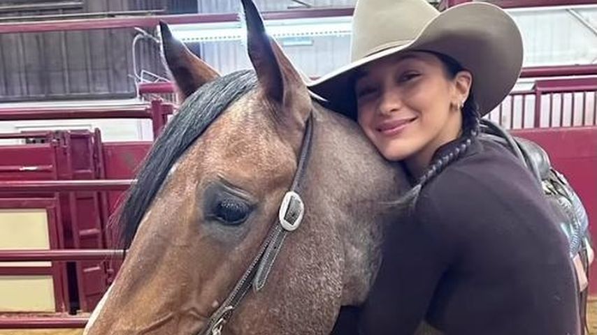 "Armes Pferd": Bella Hadid wird für Fotoshooting kritisiert!