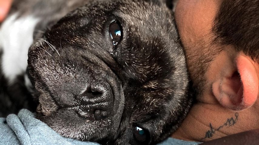 Benjamin Melzers Hund Paco