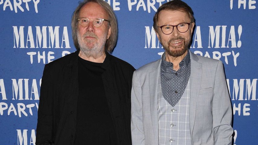 Benny Andersson und Björn Ulvaeus, Musiker