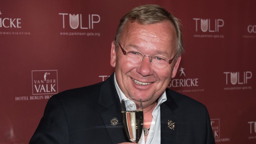 Bernd Stelter, Comedian