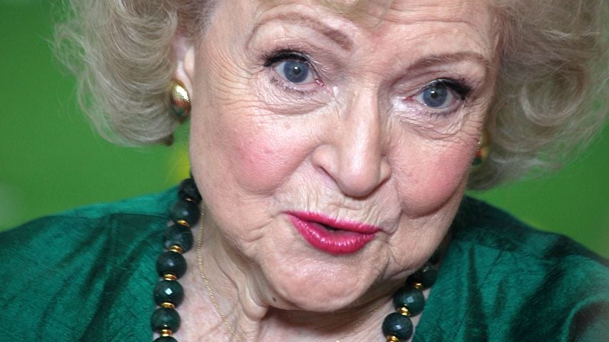 Celebrity-Liebling Koko tot: Gorilla-Dame wurde 46 Jahre alt