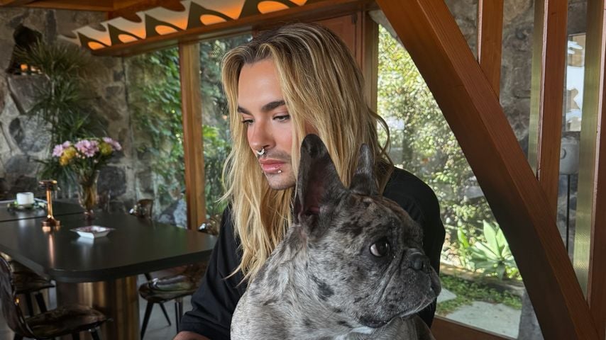 Bill Kaulitz mit seiner Hündin Alfia, April 2026