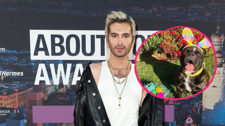 Bill Kaulitz gedenkt mit ulkigem Osterbild seines Hundes