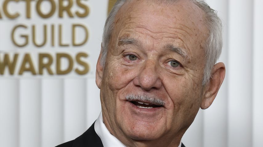 Bill Murray wurde am Set von wildem Murmeltier gebissen