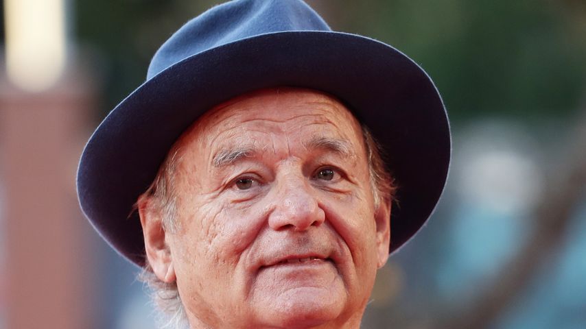 Bill Murray, Schauspieler