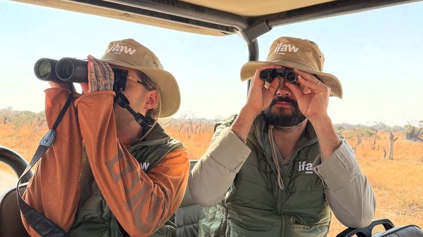 Bill und Tom Kaulitz auf Safari im September 2025