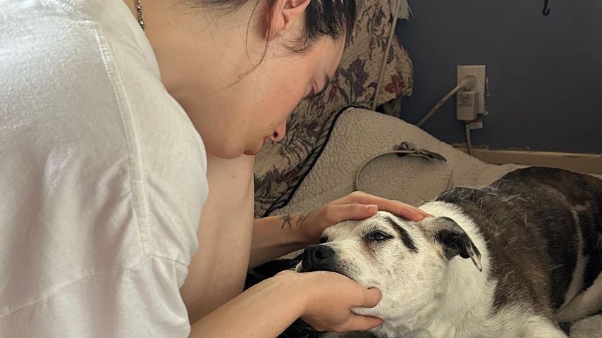 "Für immer vermissen": Billie Eilish trauert um ihre Hündin