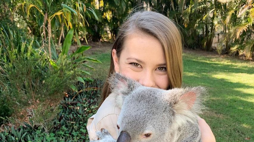Bindi Irwin, Zooinhaberin