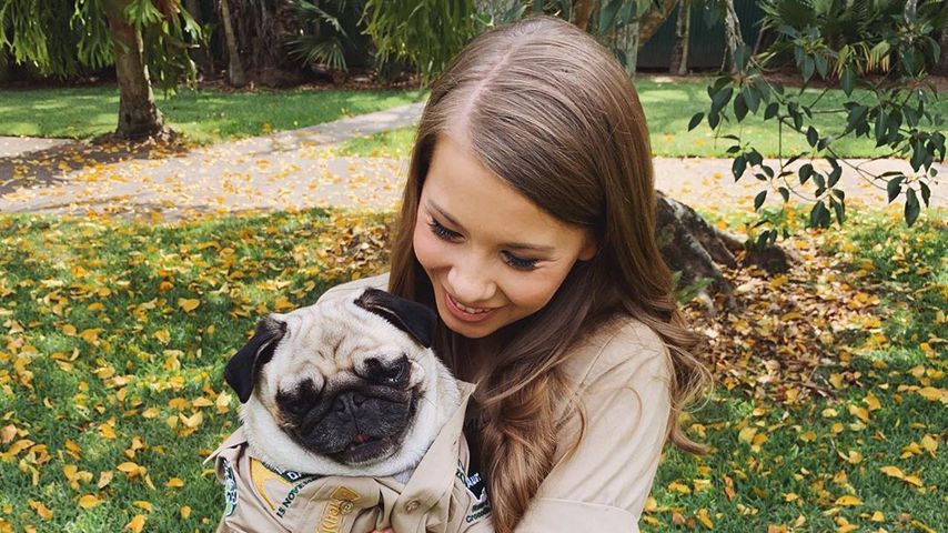 Bindi Irwin mit ihrem Mops Stella