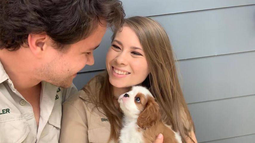 Bindi Irwin mit ihrem Verlobten Chandler und ihrem Welpen Piggy