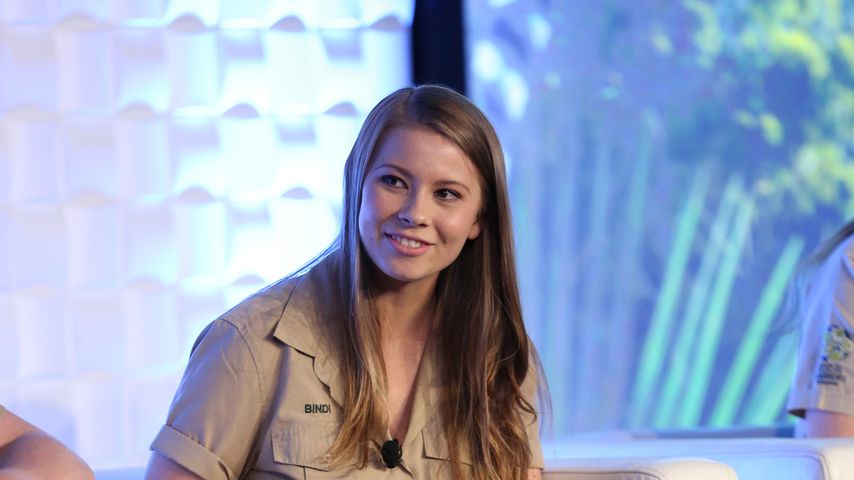 Bindi Irwin, TV-Star