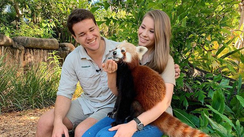 Bindi Irwin und Chandler Powell