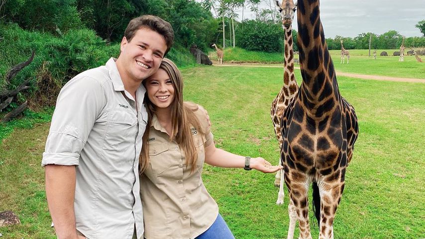 Chandler Powell und Bindi Irwin, Mai 2020