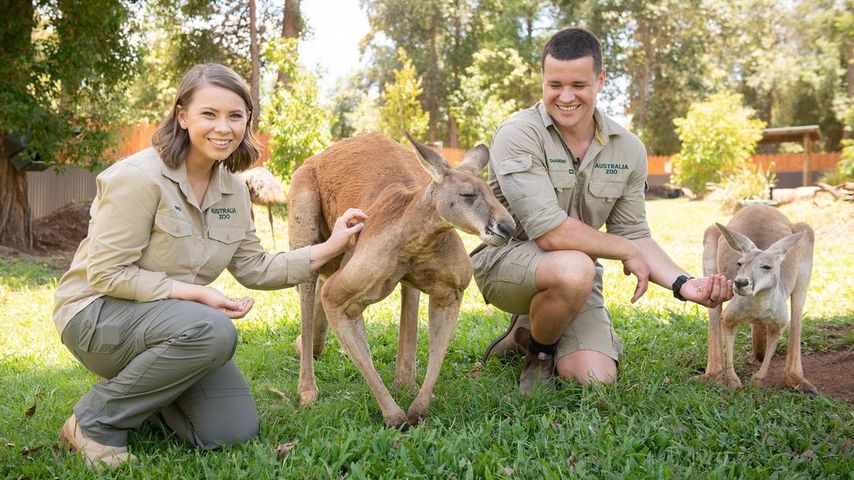 Bindi Irwin und Chandler Powell mit ihren Kangurus
