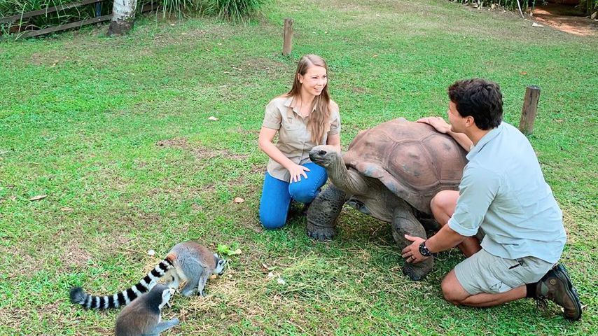 Bindi Irwin und Chandler Powell