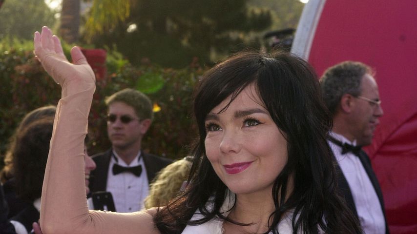 Was hat den Björk mit ihren Haaren gemacht?
