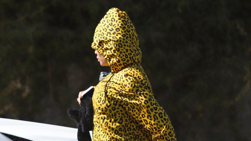 Welcher Promi verbirgt sich unter diesem Raubkatzen-Look?
