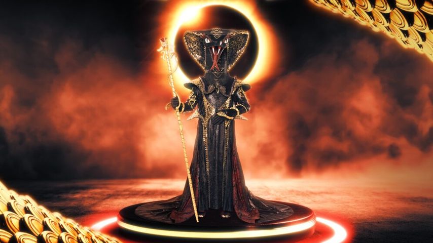 Black Mamba, "The Masked Singer"-Kostüm 2022
