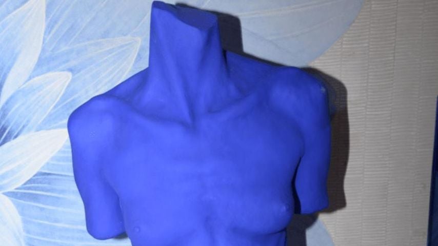 Blaue Torso-Skulptur aus Jeffrey Epsteins New Yorker Anwesen