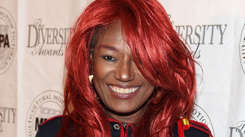 Bonnie Pointer, 2010