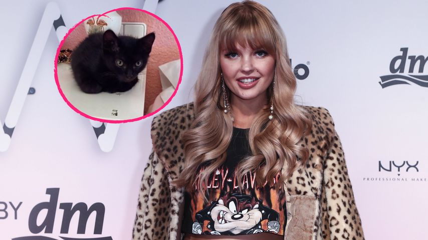 Süß! Bonnie Strange hat tierischen Zuwachs bekommen