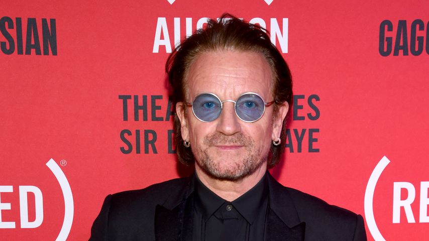 Musiker Bono
