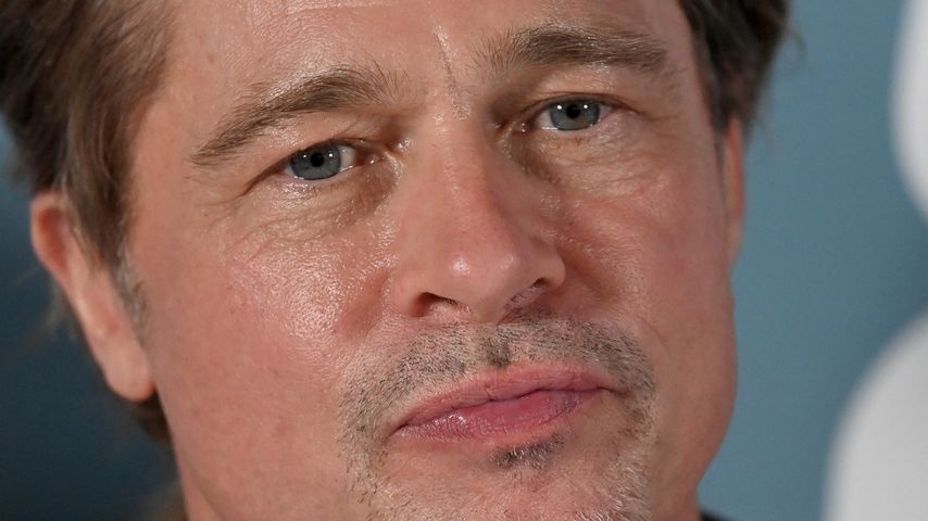 Brad Pitt, Filmstar