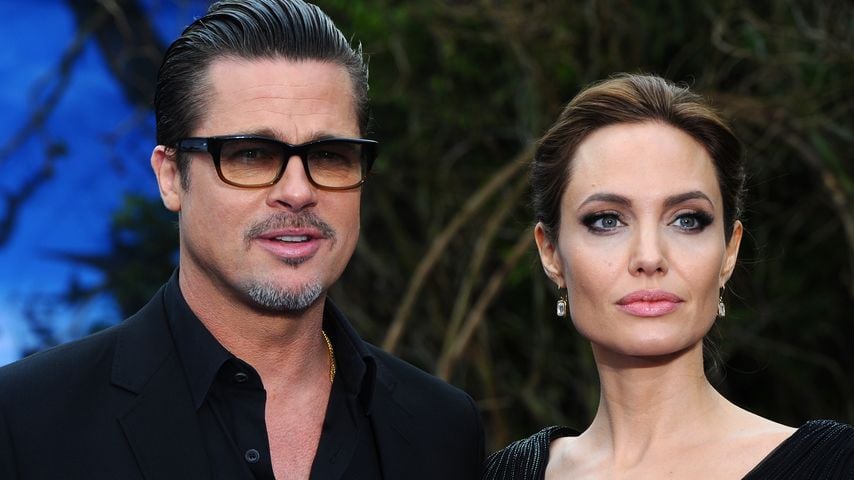 Brad Pitt bereitet sich auf XXL-Prozess gegen Angelina vor